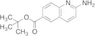 2-Aminoquinoline-6-carboxylic Acid tert-Butyl ester