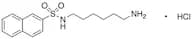 N-(6-Aminohexyl)-2-naphthalenesulfonamide Hydrochloride