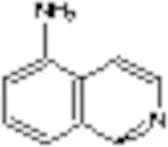 5-Amino Isoquinoline
