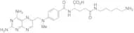 N-(5-Aminopentyl) Methotrexate Amide