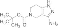 3-Amino-1,4,6,7-tetrahydropyrazolo[4,3-c]pyridine-5-carboxylic acid tert-butyl Ester