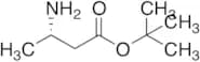 3-Amino-butyric Acid tert-Butyl Ester