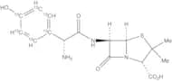 Amoxicillin-13C6