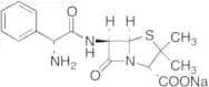 Ampicillin Sodium Salt