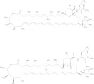 Antibiotic A21 (Technical Grade)
