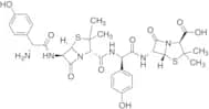 Amoxicillin Closed-loop Dimer