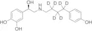 Arbutamine-d6