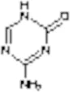 5-Aza Cytosine
