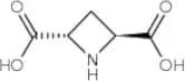 (2S,4S)-(-)-Azetidine-2,4-dicarboxylic Acid