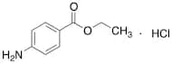 Benzocaine Hydrochloride