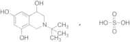 2-tert-Butyl-1,2,3,4-tetrahydro-isoquinoline-4,6,8-triol Hemisulfate Hydrate