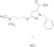 1-Benzyl-3-(3-(dimethylamino)propoxy)-1H-pyrazole-5-carboxylic Acid Hydrochloride