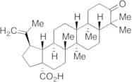(+)-Betulonic Acid