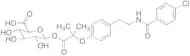 Bezafibrate 1-O-β-Glucuronide