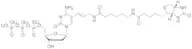 Biotin-11-dCTP