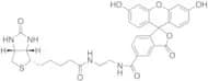 Biotin-4-Fluorescein
