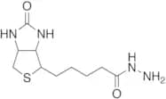 Biotin Hydrazide