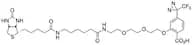 2-[2-[2-[2-[6-(Biotinylaminohexanoyl]aminoethoxy]ethoxy]ethoxy]-4-[3-(trifluoromethyl)-3H-diazirin…