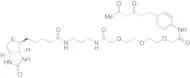6-[4'-N-(biotinylaminopropyl-NHCOCH2-PEG2-acetyl)-aminophenyl]-hexane-2,4-dione