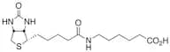 Biotin X