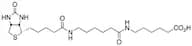 LC-LC(+)-Biotin