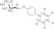 4-Biphenylyl-13C6 Glucuronide