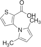 3-(2,5-Dimethyl-1H-pyrrol-1-yl)-2-thiophenecarboxylic Acid