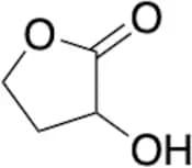 α-Hydroxy-γ-butyrolactone