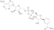 Benzamide Adenine Dinucleotide