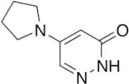 5-(1-Pyrrolidinyl)-3(2H)-pyridazinone