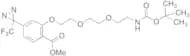 2-[2-[2-(2-t-Boc-aminoethoxy]ethoxy]ethoxy]-4-[3-(trifluoromethyl)-3H-diazirin-3-yl]benzoic Acid M…