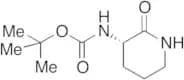 N-Boc L-Orinithine Lactam