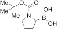 N-Boc-pyrrolidin-2-ylboronic Acid
