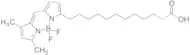 12-BODIPY-dodecanoic Acid
