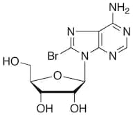 8-Bromo Adenosine
