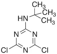 2-(tert-Butylamino)-4,6-dichloro-1,3,5-triazine