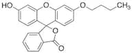 N-Butylfluorescein