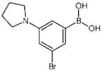 3-Bromo-5-pyrrolidinophenylboronic Acid