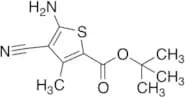 Tert-butyl 5-Amino-4-cyano-3-methylthiophene-2-carboxylate