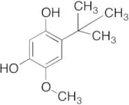 4-(tert-Butyl)-6-methoxybenzene-1,3-diol