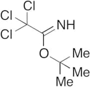 tert-Butyl 2,2,2-trichloroacetimidate