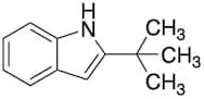 2-tert-Butylindole