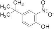 4-tert-Butyl-2-nitrophenol