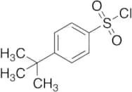 4-tert-Butylbenzenesulfonyl Chloride