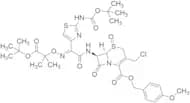 N-Boc Desaceto tert-Butyl Isobutyrate Desethynyl Chloroethyl p-Methylanisole (E)-Cefixime