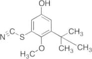 3-(tert-Butyl)-4-methoxy-5-thiocyanatophenol