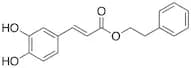 Caffeic Acid Phenethyl Ester