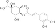 4-O-Caffeoylquinic Acid