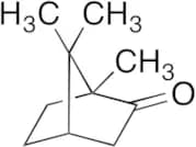 (±)-Camphor