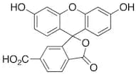 6-Carboxyfluorescein
